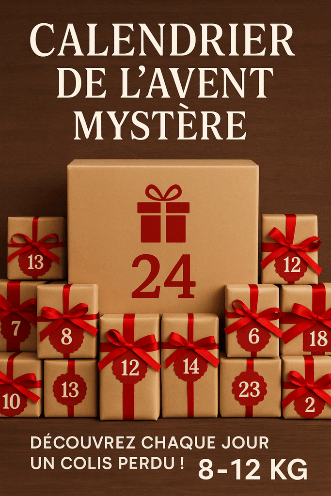 Calendrier de l’Avent Mystère 2025 : découvrez chaque jour un colis perdu !