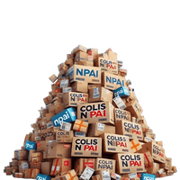 Colis NPAI & Amazon : La Chasse au Trésor de Noël est Ouverte (-15% et Livraison Offerte !) - Lost and Found