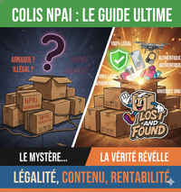 Colis NPAI Certifiés : Le Guide Honnête sur la Légalité, le Contenu et l'Achat au Kilo