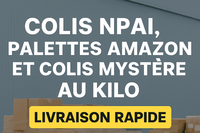 Colis NPAI & Palettes Amazon : l’opportunité que tout le monde attend… sauf vous ? - Lost and Found