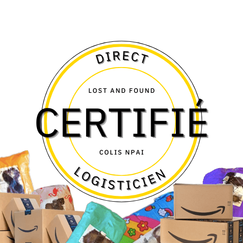 Grossiste Colis NPAI Certifié – Transparence et Confiance avec Lost and Found