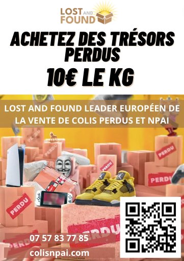 Lost and Found : Redonner Vie aux Colis Perdus à travers la Revente - Lost and Found