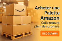 Palettes Amazon ou Colis npai Mystère : lequel choisir pour revendre avec succès ? - Lost and Found