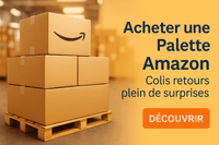 Palettes Amazon ou Colis npai Mystère : lequel choisir pour revendre avec succès ? - Lost and Found