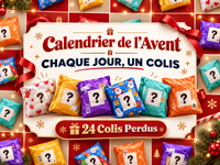 Calendrier de l'Avent 24 Colis Perdus - Lost and Found